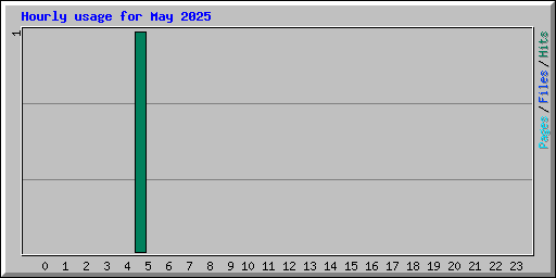 Hourly usage for May 2025
