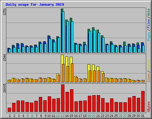 Daily usage for January 2019