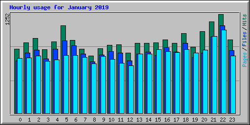 Hourly usage for January 2019