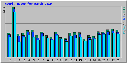 Hourly usage for March 2019