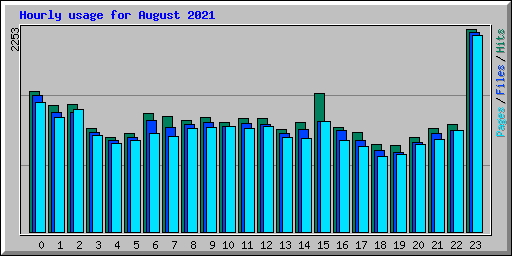 Hourly usage for August 2021