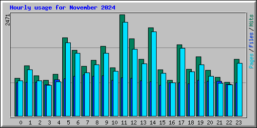 Hourly usage for November 2024